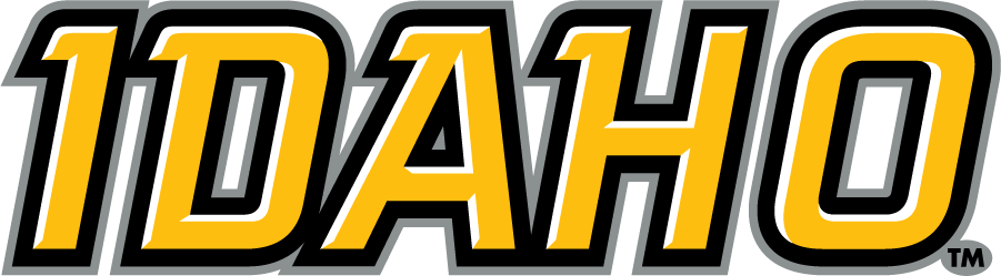 Idaho Vandals 2019-Pres Wordmark Logo v2 DIY iron on transfer (heat transfer)